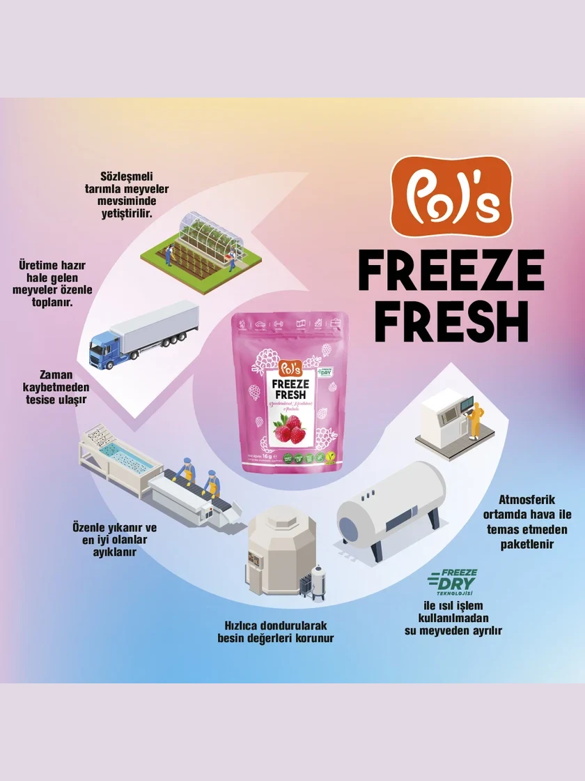 Freeze Fresh Freeze-Dried Raspberry 16 g görseli