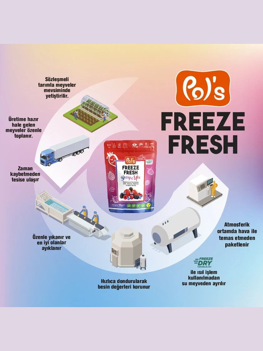 Freeze Fresh Berry Mix 16 g görseli