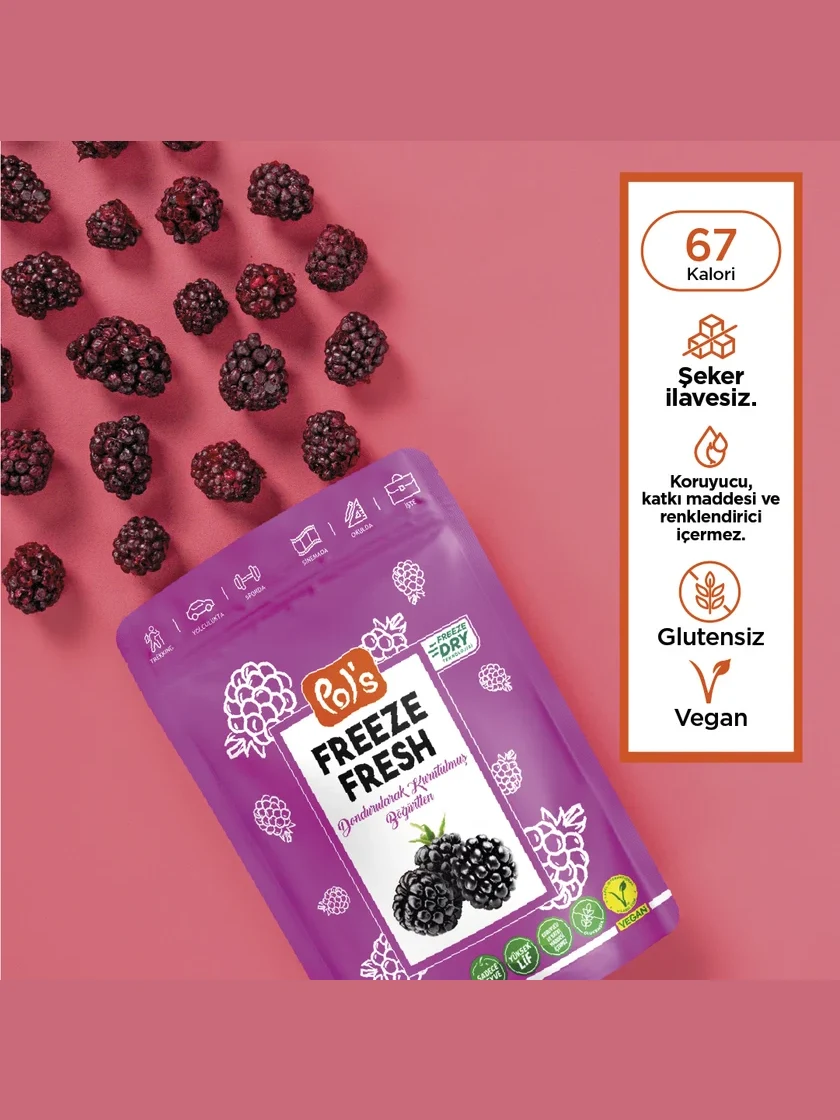 Freeze Fresh Freeze-Dried Blackberry 20 g görseli