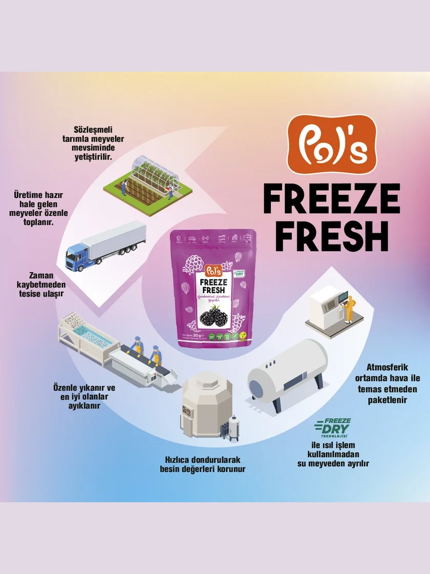 Freeze Fresh Freeze-Dried Blackberry 20 g görseli