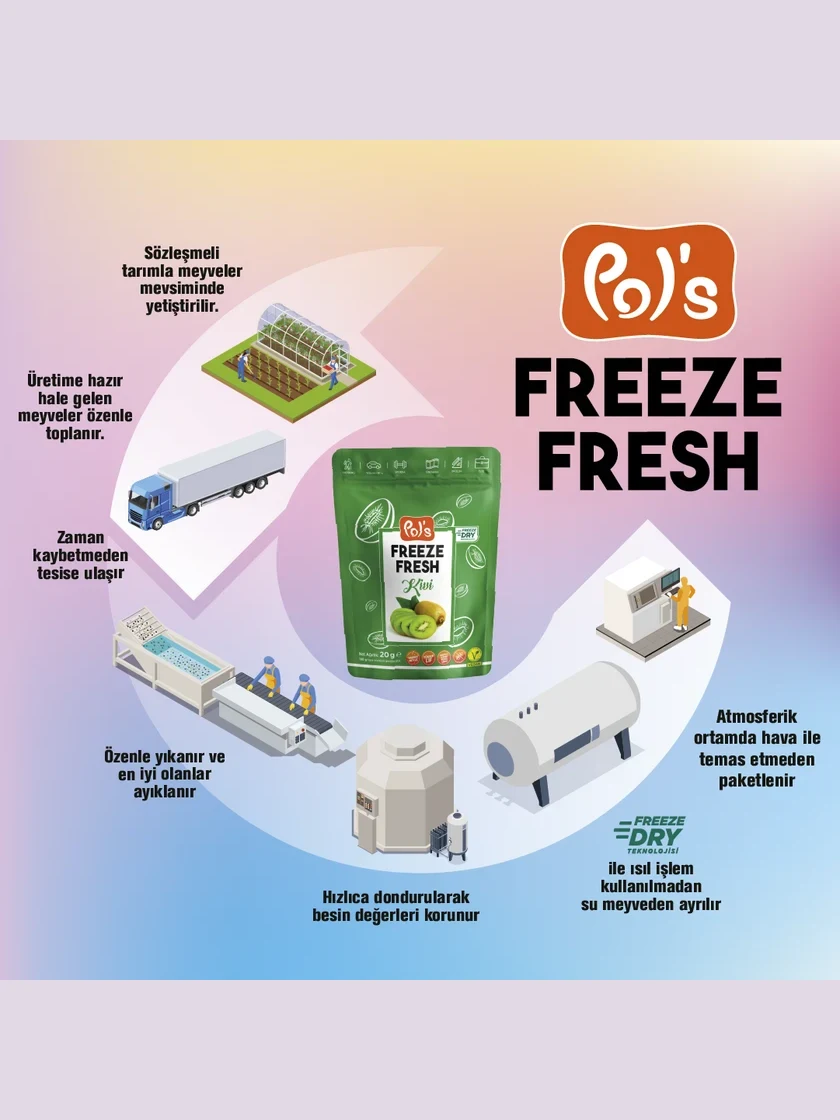 Freeze Fresh Dilim Kivi 20 gr. görseli