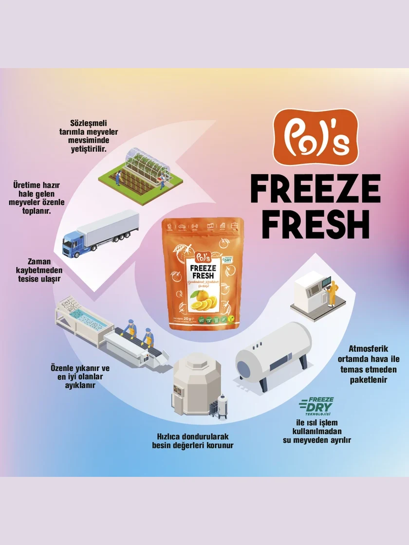 Freeze Fresh Freeze-Dried Orange Slices 20 g görseli