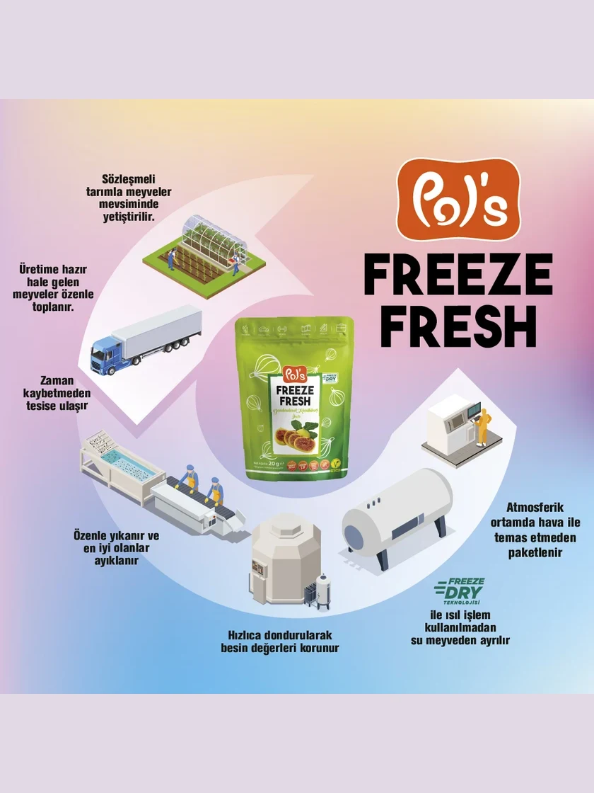 Freeze Fresh Freeze-Dried Fig 20 g görseli