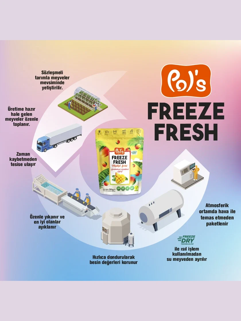 Freeze Fresh Tropikal Seri Mango 20 gr. görseli